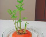 モリモリ食べれる♪人参サラダ作り方4写真