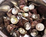 がんがら（ニナ貝）のプレミアムな塩茹で作り方7写真