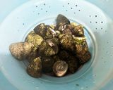 がんがら（ニナ貝）のプレミアムな塩茹で作り方13写真