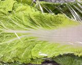 ロール白菜のトマト煮込み作り方1写真