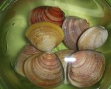 潮汁（蛤）作り方1写真