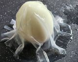 ライスペーパーと卵でハロウィンおばけ♪作り方7写真