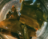 昆布だし・湯引きハモ〜いかの塩辛のっけ〜作り方1写真