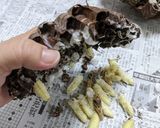 オオスズメバチ　幼虫の下処理作り方7写真