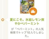 夏にこそ。氷結レモン爽やかペパーミント作り方9写真