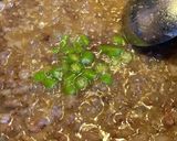 牛すじ青唐辛子入り　肉味噌作り方5写真