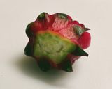 ハイビスカスローゼスの塩昆布漬け作り方5写真
