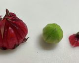 ハイビスカスローゼスの塩昆布漬け作り方7写真
