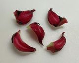ハイビスカスローゼスの塩昆布漬け作り方8写真