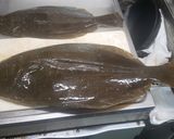 ヒラメの熟成、保存の処理&ヅケ作り方1写真