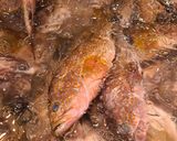 キハタのアクアパッツァ～魚の駅生地～作り方1写真