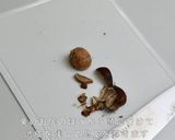 銅鍋てふてふで作る 秋の味覚 栗の渋皮煮作り方3写真