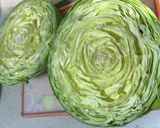 ヘルシー♡キャベツ人参ツナの温野菜サラダ作り方1写真