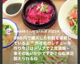 残り飯and残りシチューで簡単ドリア作り方13写真