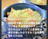 残り飯and残りシチューで簡単ドリア作り方14写真