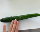 調理実習　サラダ巻き　楽しく巻こう！作り方11写真