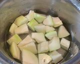 青パパイヤのコンポート作り方9写真