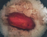 丸ごとさつま芋と塩麹豚レモン炊き込みご飯作り方3写真