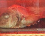 焼き魚は立てて焼こう作り方5写真