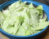 キャベツと厚揚げ生姜炒め作り方1写真