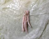 ずっとぷるぷる！サラダチキン生春巻き作り方4写真
