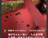 ゴボウの簡単な剥き方♡作り方14写真