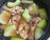 青パパイヤと鶏肉の煮物作り方3写真