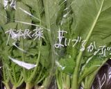 ゆかりのイブクロかぶら菜大根菜の味噌佃煮作り方1写真