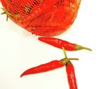 ガツンと辛い!!みょうが醤油作り方3写真