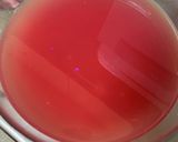 我が家のいくら醤油漬け作り方6写真