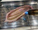 ヒゲソリダイ髭剃り鯛の捌き方 カヤカリ作り方11写真