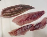 ヒゲソリダイ髭剃り鯛の捌き方 カヤカリ作り方12写真