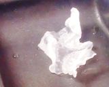 ライスペーパー★地球救う昆虫食たんぱく質作り方2写真
