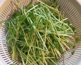豆苗サラダ作り方1写真