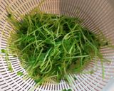 豆苗サラダ作り方3写真