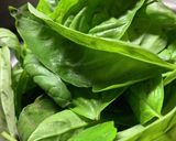 サルベージ◎veganジェノベーゼソース作り方1写真