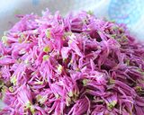 もってのほか（食用菊）と長芋の酢の物♪作り方4写真