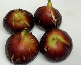 初心者向け☆いちじくタルト作り方1写真