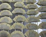 白菜たっぷり餃子作り方8写真