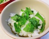 鶏むね肉のマヨ・コチュ丼。作り方6写真