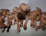 ナラタケ甘辛煮の大根おろし和え作り方1写真