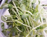 簡単★豆苗のオリーブオイルソルトサラダ作り方1写真