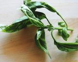 パリおにぎり★しらすとバジル★食中毒予防作り方1写真