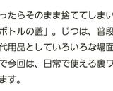 ぎんなん(下処理)殻の剥き方作り方7写真