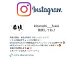 塩出汁で♡豆苗とエリンギの旨だし炒め作り方6写真