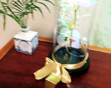 お弁当にも！ヤマキの白だしの唐揚げ作り方4写真