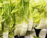 焼売〜白菜たっぷり作り方1写真