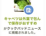 キャベツは外葉で包んで保存がおすすめ作り方19写真