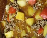パプリカじゃがいも挽肉煮込み　Maggi作り方7写真