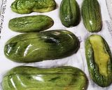 瓜の粕漬作り方6写真